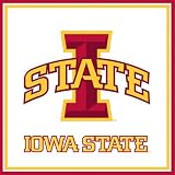 Iowa State Cyclones Paper Cube