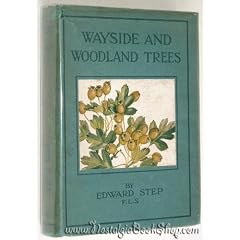 Wayside And Woodland Trees