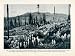 1912 Print Mount Hood Squaw Grass Mountain Flowers Forest Fire Pacific Northwest - Original Halftone Print