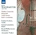 Violin Concerto Op 15