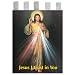 Church Banner - Divine Mercy "Jesus I trust in You" - Cotton Canvas with Archival Inks and UV Coating - Border Rings for Rod Hanging. Print Size 24"x36"