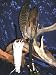 NATIVE AMERICAN INDIAN SACRED RITUAL BLESSING FEATHER CEREMONIAL PRAYER SMUDGE FAN + FRESH CALIFORNIA WHITE SAGE WAND, Great for Private Ceremony, Pow-wow , Decor, Cleansing, or Alternative Healing