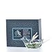 Jaqua Pacific Pomelo Hand Blown Glass Bird Diffuser