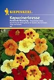 Tropaeolum Kapuzinerkresse rankende Mischung