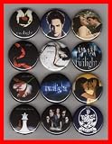 Twilight Edward Cullen Set of 12 - 1 Inch Magnets