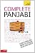 Teach Yourself Complete Panjabi (TY Complete Courses)