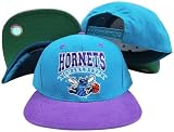 Charlotte Hornets Teal/Purple Two Tone Snapback Adjustable Plastic Snap Back Hat / Cap