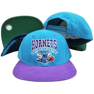 Charlotte Hornets Teal/Purple Two Tone Snapback Adjustable Plastic 