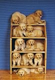 Dog Friends-500pcIMAGE