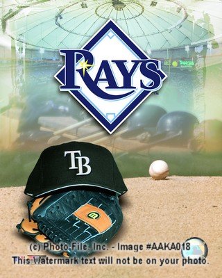 Tampa Bay Rays Logo 8x10 Photo
