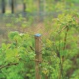 Hardwood Plant Stakes (120cm) Pack of 6