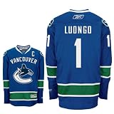 LUONGO 1 Vancouver Canucks Reebok Premier Home NHL Hockey Jersey (NHLPA Certified Custom Sewn Authentic Twill)