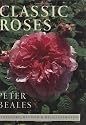 Classic Roses (John MacRae Books)