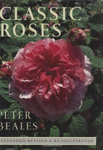 Classic Roses (John MacRae Books)