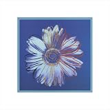 Daisy (blue on blue), 1982 by Andy Warhol poster print,20 in. x 20 in.