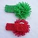 Cuddle Baby Girl's Elastic Headbands with Chiffon Flower Petal (Pack of 10)