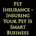 51swwH3s%2BOL. SL75  TIPS FOR CHOOSING PET INSURANCE IN NORTHERN IRELAND