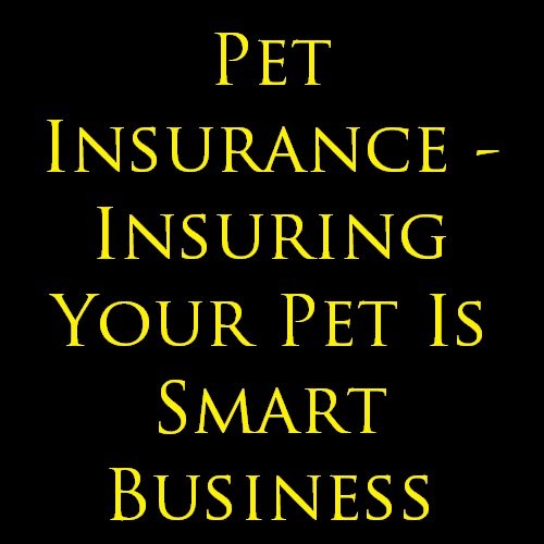 Pet Insurance - Insuring Your Pet Is Smart Business