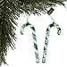 Boston Celtics Candy Cane Ornament Set