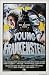 Young Frankenstein - Mel Brooks - New Movie Poster - 27x39 Movie Poster