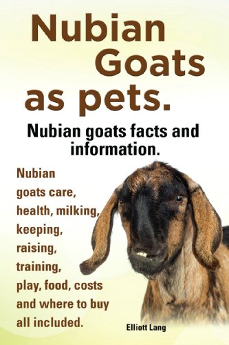 Nubian Goats as pets. Nubian goats facts and information. Nubian goats care, health, milking, keeping, raising, training, play, food, costs and where to buy all included.