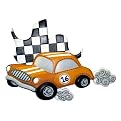 Fast and Fun Room Decor Collection