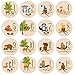 Baby Milestone Stickers by ZELDA MATILDA Gorgeous Woodland Critters Monthly Growth Bodysuit Stickers Beautiful and Original 16 Piece - 4 Inch Sticker Set for Clothing - A Must Have for Baby Pictures!