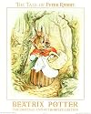 Beatrix Potter The Tale Of Peter Rabbit Art Print RARE - 16" x 20"
