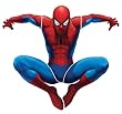 Spiderman III Giant Applique Wall Sticker Mural