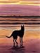 German Shepherd Dog Art Print Signed by Artist DJ Rogers