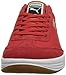 PUMA Men's Argentina FL Fashion Sneaker