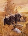 Black Lab Pups Decorative Art Poster Print by Ruane Manning, 16x20
