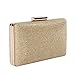 Damara Womens Sparkling Metal Lock Clutch Evening Bag