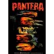 Pantera - Skull Faces Decal - Sticker
