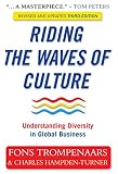 Riding the waves of culture : understanding diversity in global business