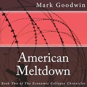 Book Two of the Economic Collapse Chronicles - Mark Goodwin