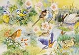 Big 250 Piece Jigsaw Puzzle Feathered Friends - Wild Birds & Ducks