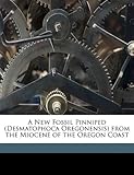 A New Fossil Pinniped (Desmatophoca Oregonensis) from the Miocene of the Oregon Coast-