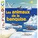 Les animaux de la banquise