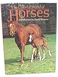 The colourful world of horses