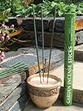Amazon Lights All-natural Premium Citronella Outdoor Garden Incense Sticks with 2.5 - 3.0 Hour Burn Time. Brazilian Andiroba Oil Blended with Citronella, Rosemary & Thyme.