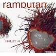 Rambutan Fruit, Vol. 4
