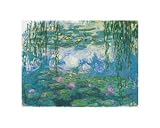 Posters: Claude Monet Poster Art Print - Nympheas (12 x 9 inches)