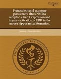 Prenatal ethanol exposure persistently alters NMDA receptor subunit expression and impairs activation of ERK in the mouse hippocampal formation.
