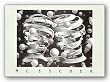 Bond of Union by M.C. Escher 20.75"x14.5" Art Print Poster