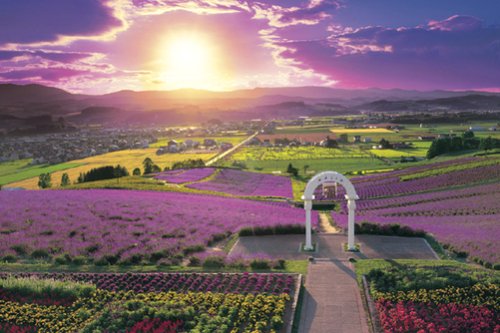 めざせ!パズルの達人 1000ピース 夕暮れの富良野-北海道 10-702