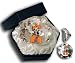 Oklahoma State University Cowboys Paperweight Image