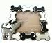 Concepts Frames , Wht/blk Dog Bone Magnet with 2x2 Square Photo Opening