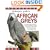 Birdkeeper's Guide to African Greys