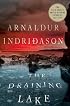 The Draining Lake: A Thriller (Reykjavik Thriller)